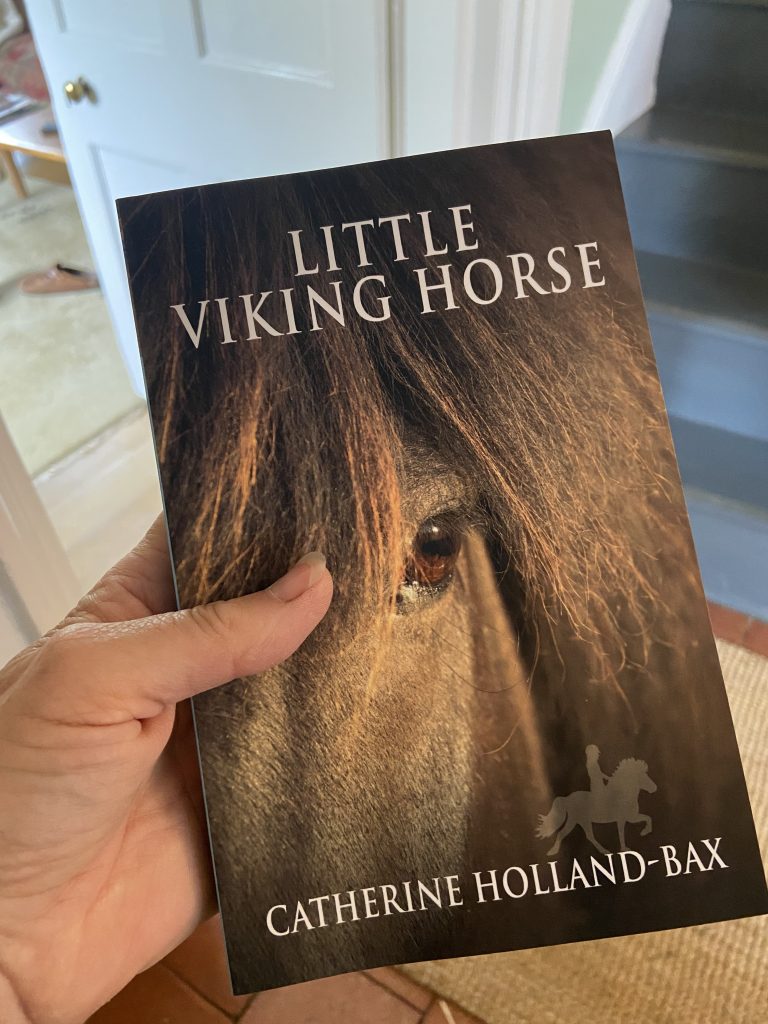 Little Viking Horse Book, signed by the Author