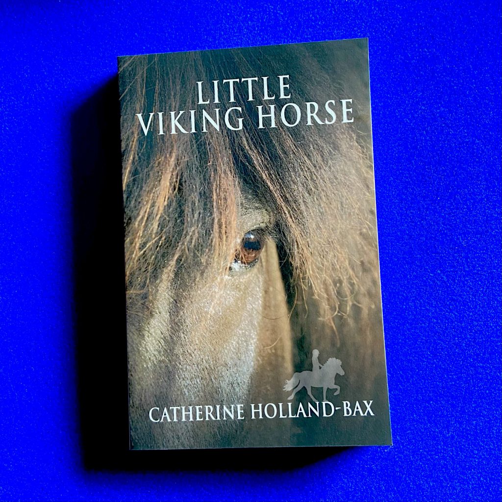 Little Viking Horse Book, signed with bookmark