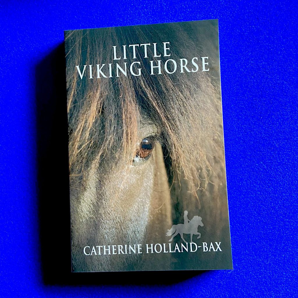 Photo of book cover for Little Viking Horse by Catherine Holland-Bax. Cover shows part of the face of a brown Icelandic horse with the eye central. A silhouette of a rider tolting on a horse is on bottom right, above the author's name.